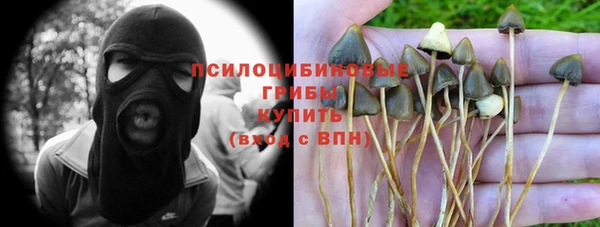 спиды Костерёво