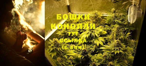 спайс Корсаков