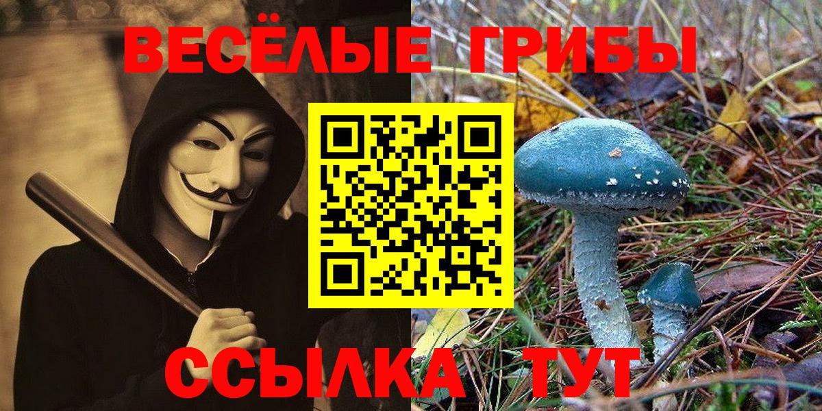Псилоцибиновые грибы Psilocybine cubensis  как найти   Азов  Вход с VPN 
